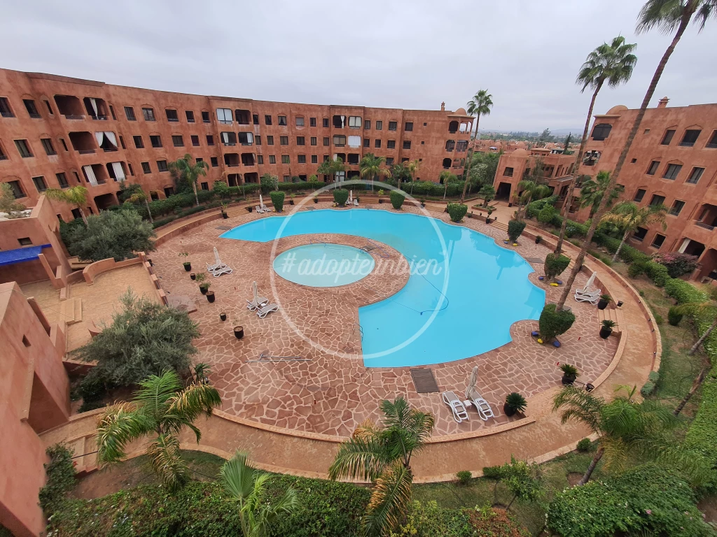 appartement location