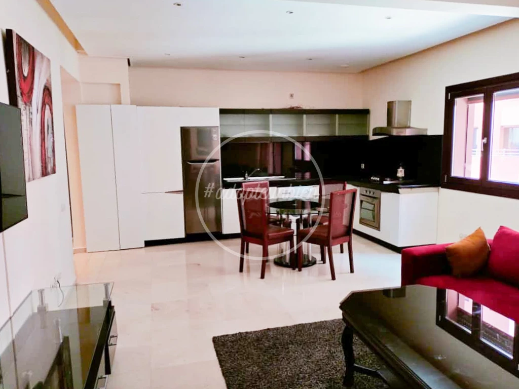 superbe appartement plaza