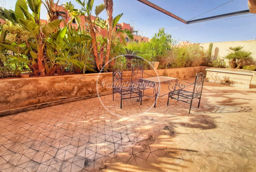 appartement grande terrasse