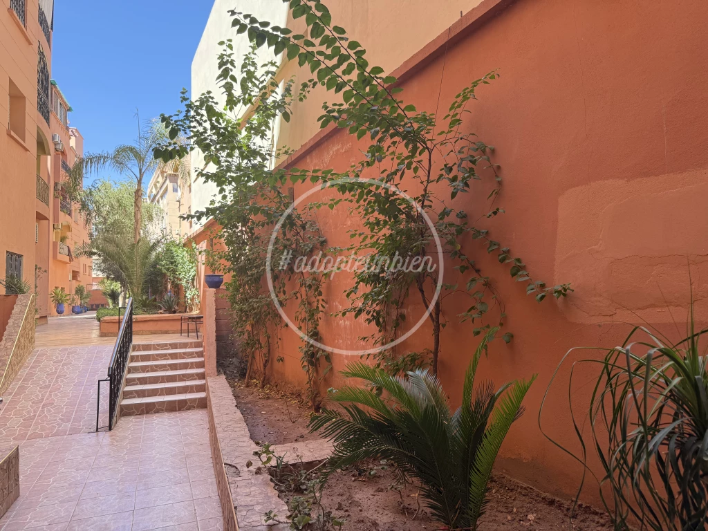 appartement route de casa